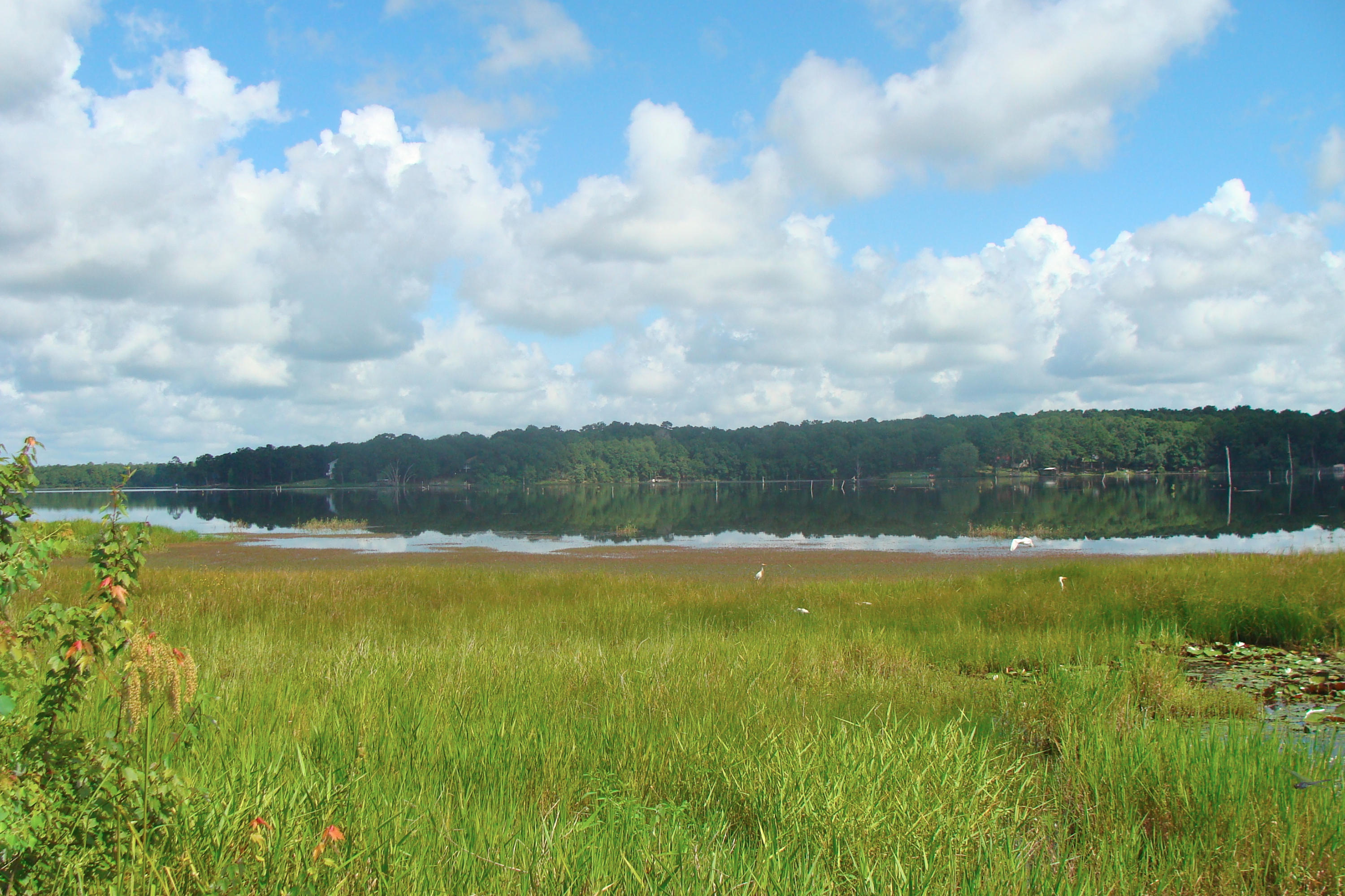 JUNIPER EAST 3RD ADDN UNREC - Residential