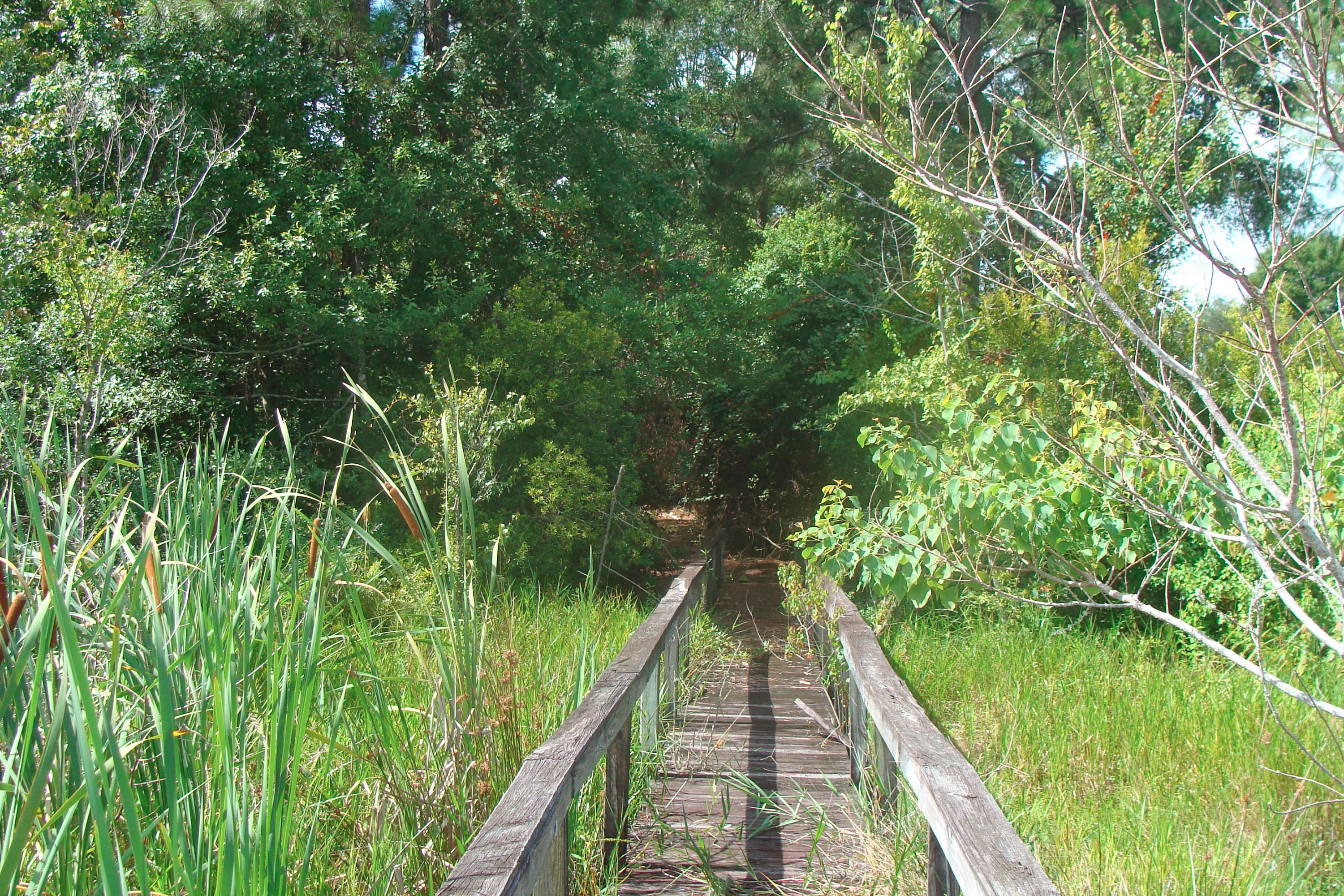 JUNIPER EAST 3RD ADDN UNREC - Residential