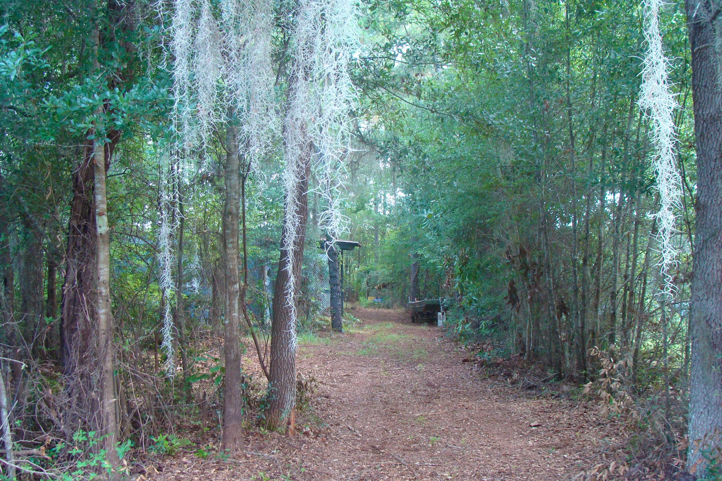 JUNIPER EAST 3RD ADDN UNREC - Residential