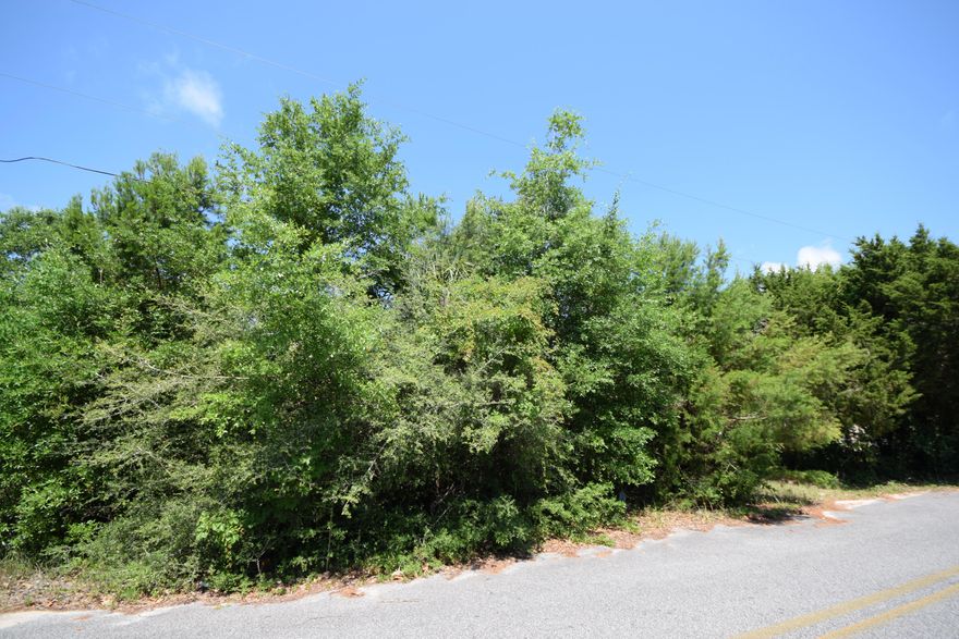 Wide, wooded lot of almost one-half acre for your new home! Potential to subdivide per seller. County zoning R-2, future land use MDR (Medium Density Residential) which would allow multi-family, townhouses (to be verified by buyer). Neighborhood is looking up with some newer homes (2010) and some mobile homes. Water and sewer tap fees paid, prior hook up to old mobile home on the property. Located just west of Hurlburt Field. Easy commute also to Eglin Air Force Base, beaches a few minutes away! Buyer to perform feasibility study to verify zoning and ensure property is suitable for desired use. Lot dimensions source Okaloosa County property appraiser website.