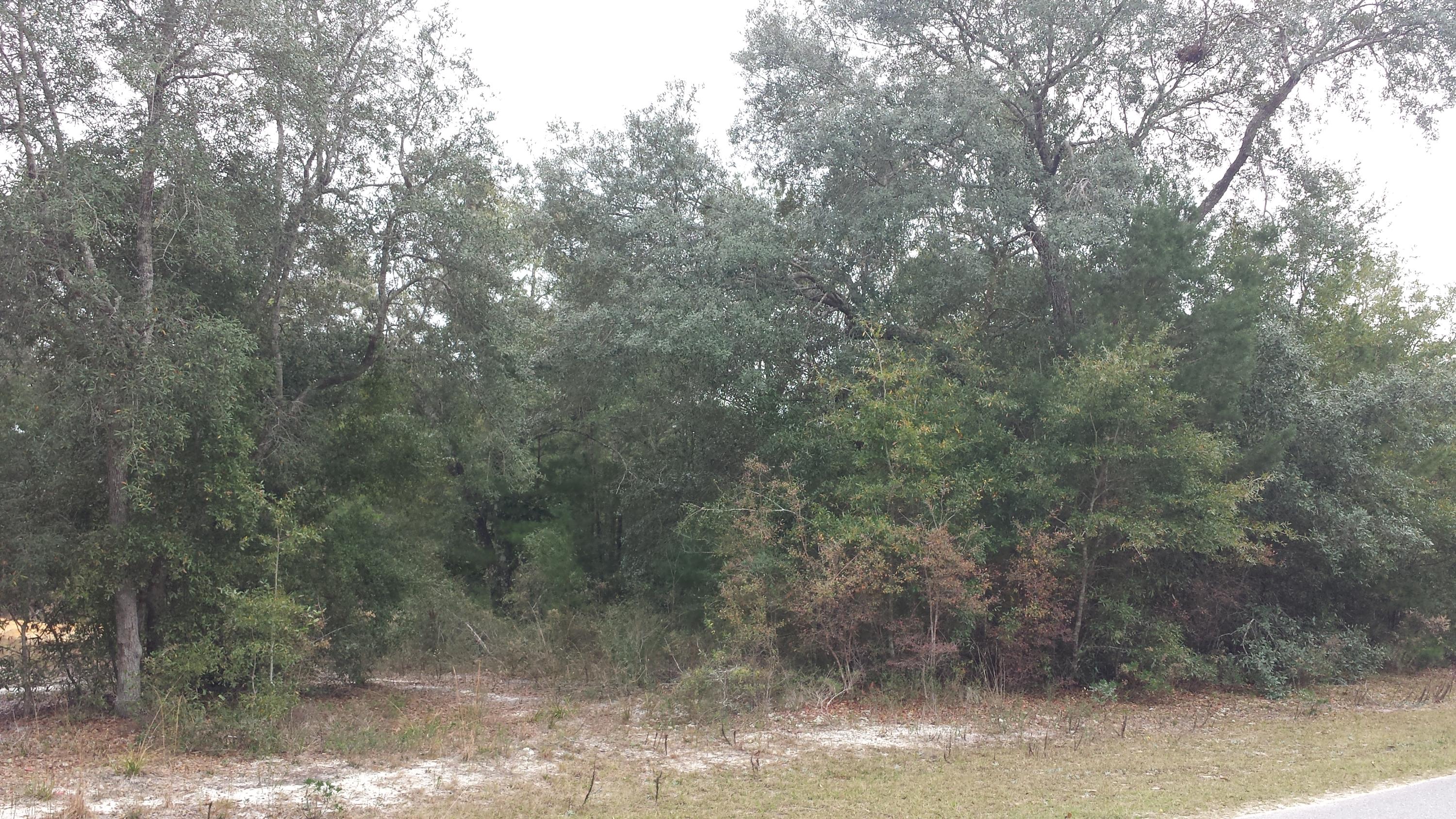 Magnolia Landing - Land