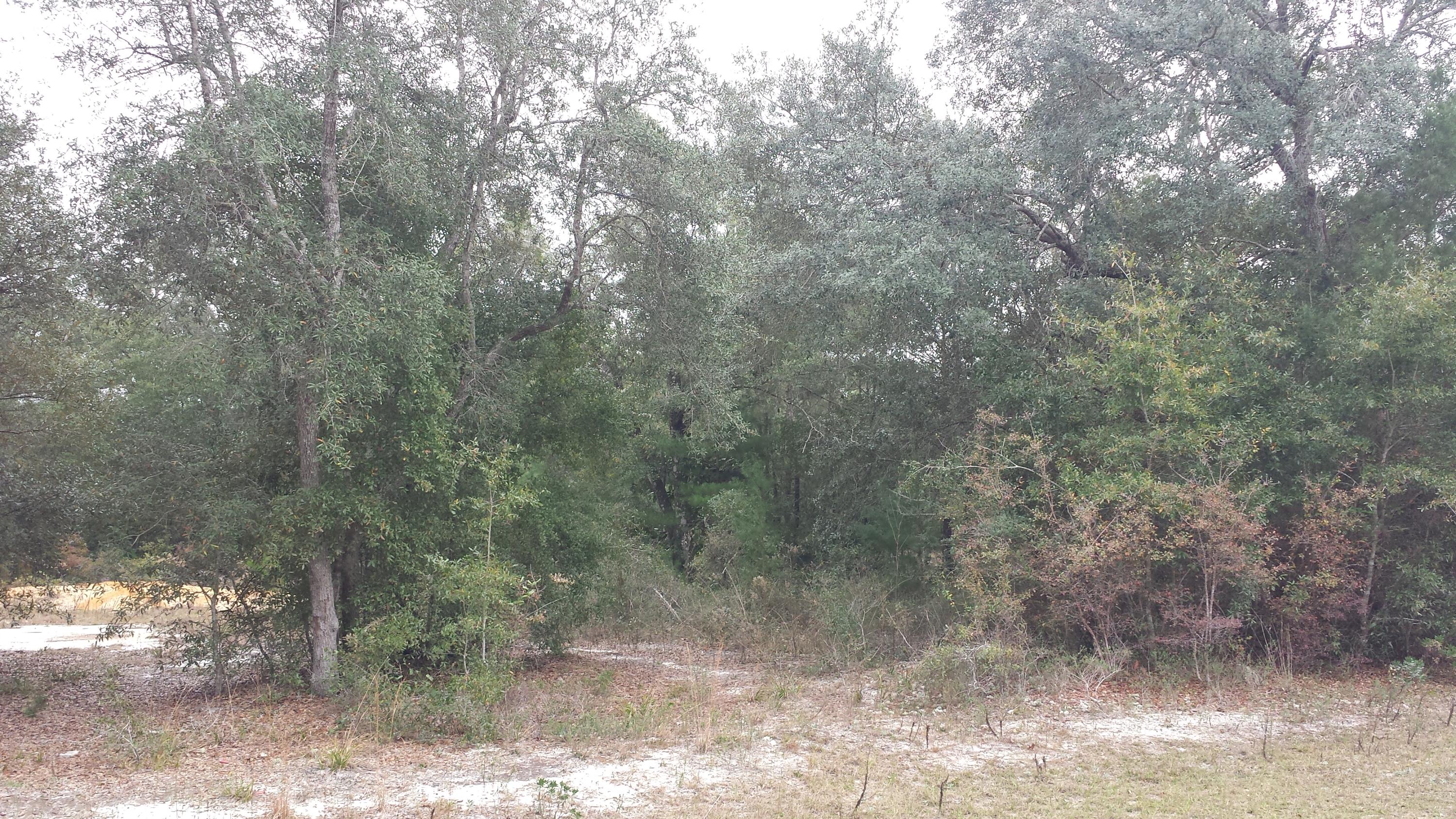 Magnolia Landing - Land