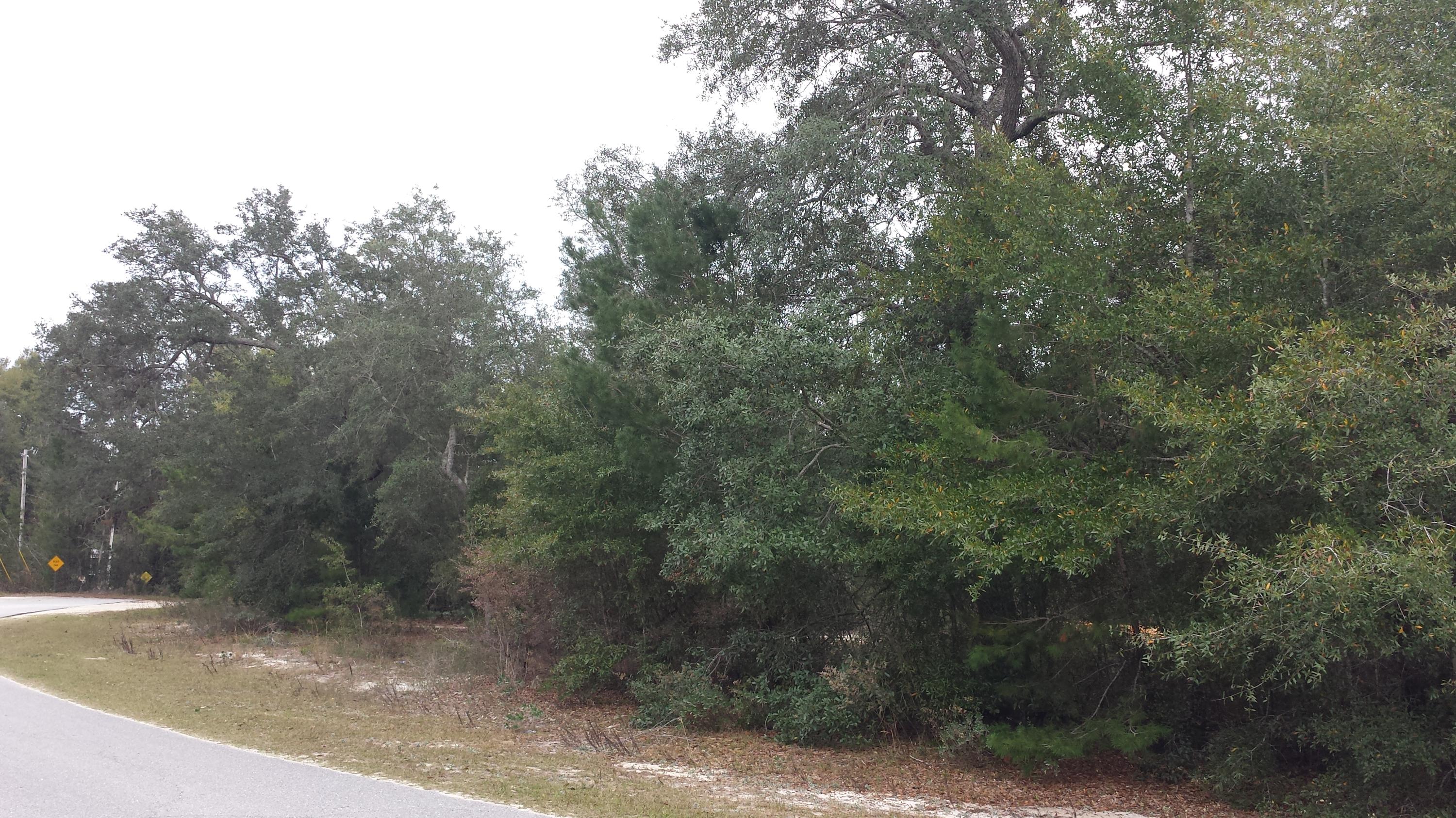 Magnolia Landing - Land