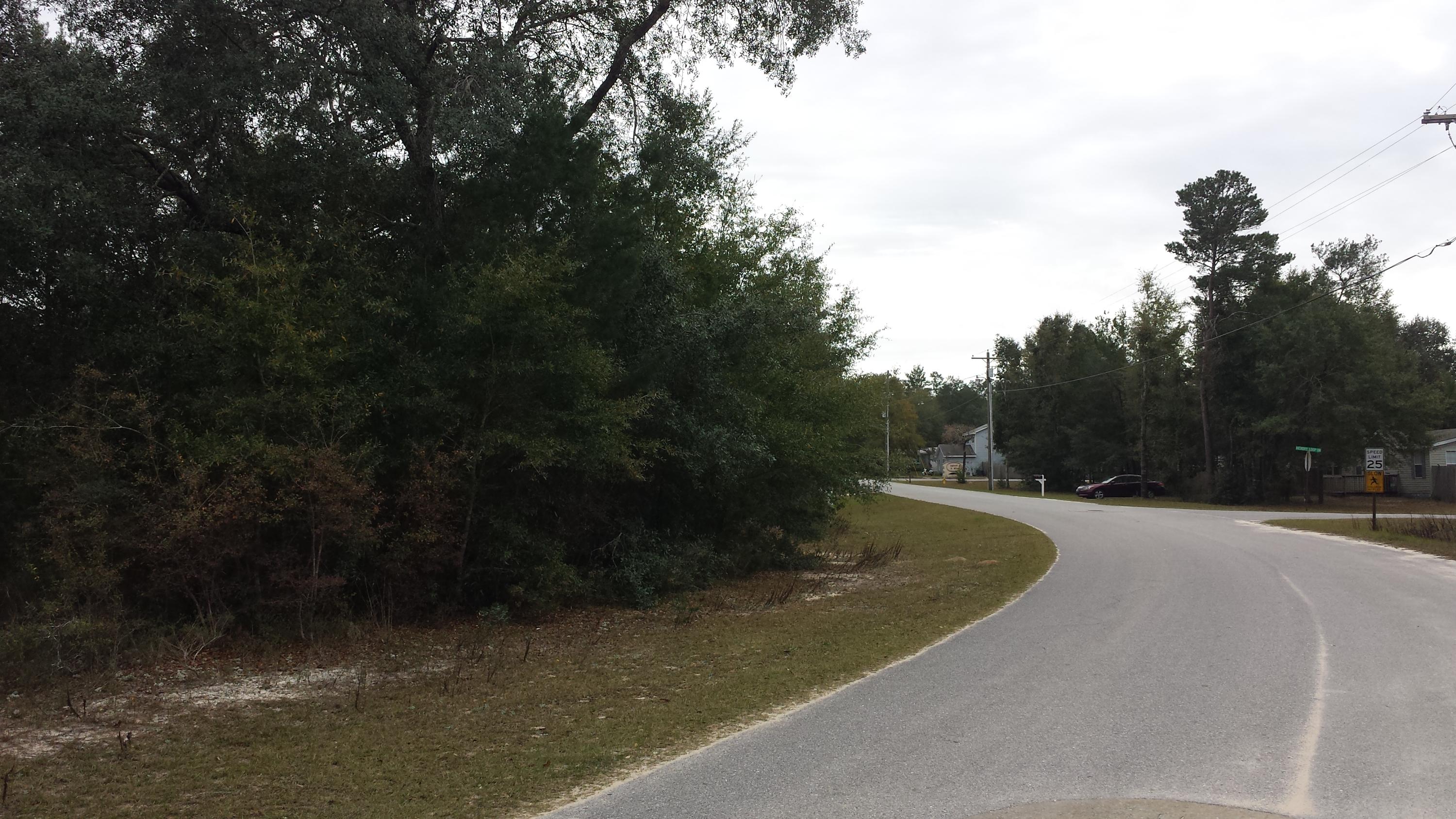 Magnolia Landing - Land