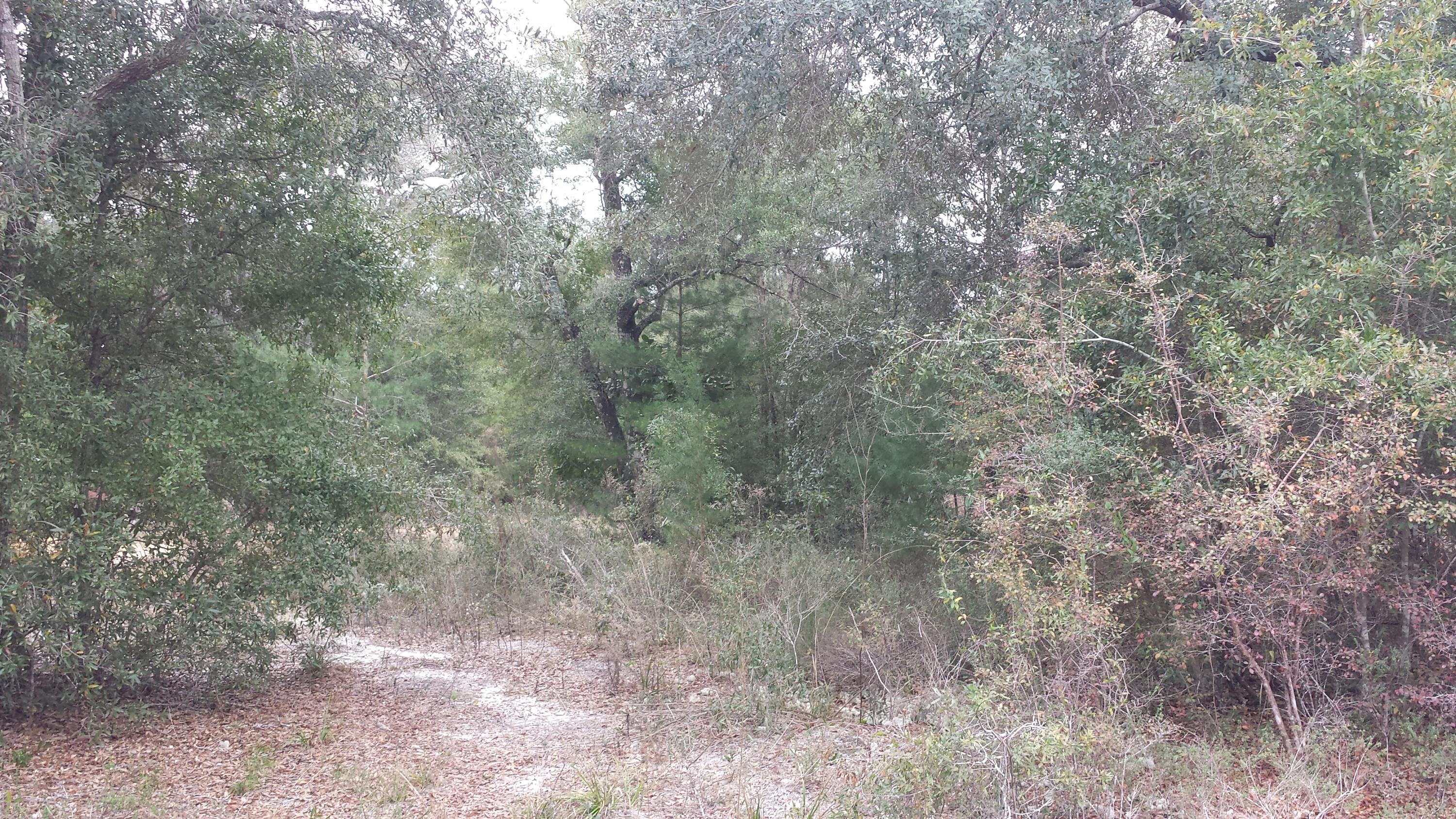 Magnolia Landing - Land