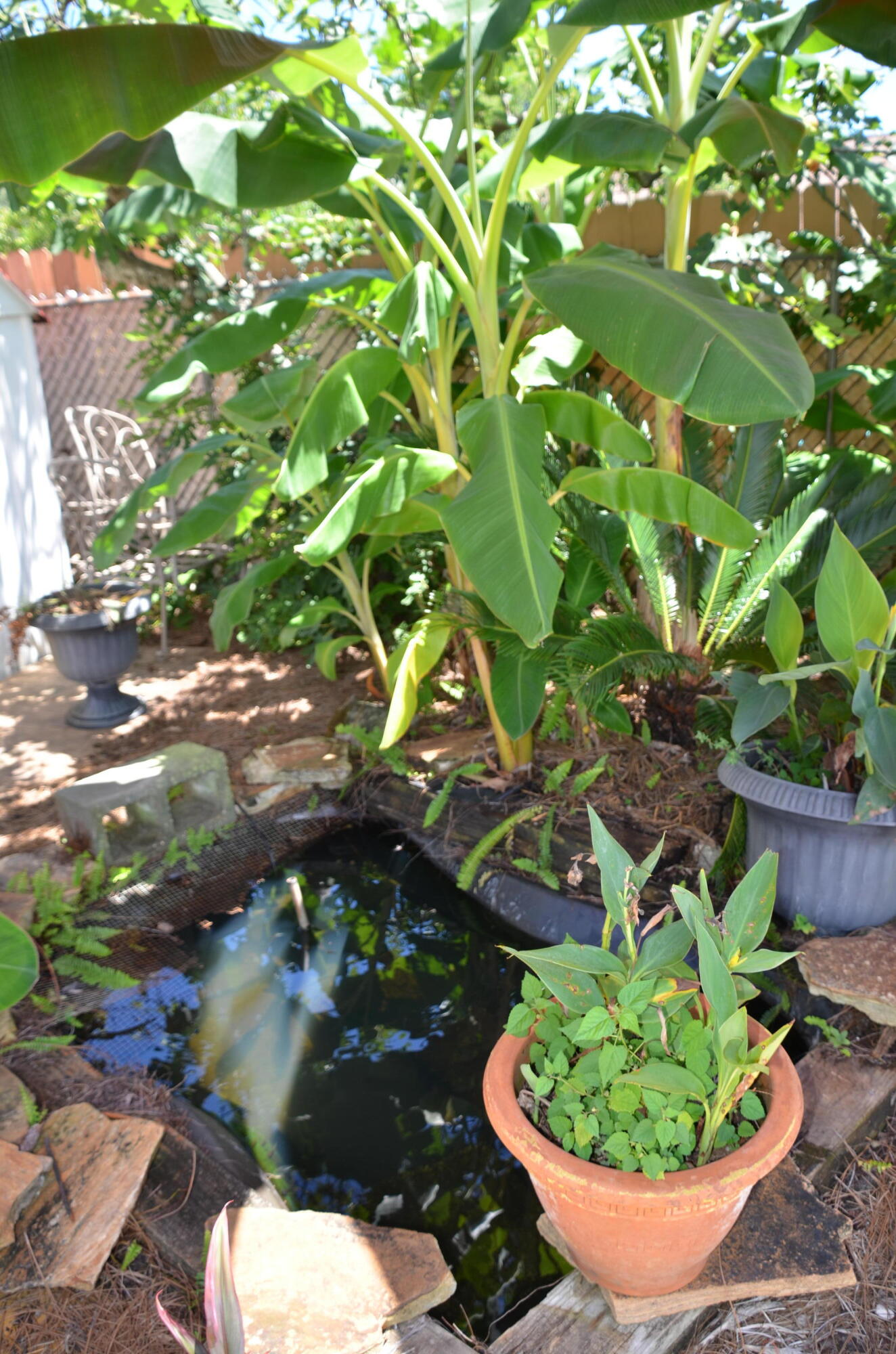 SPRING LAKE #2 - Residential