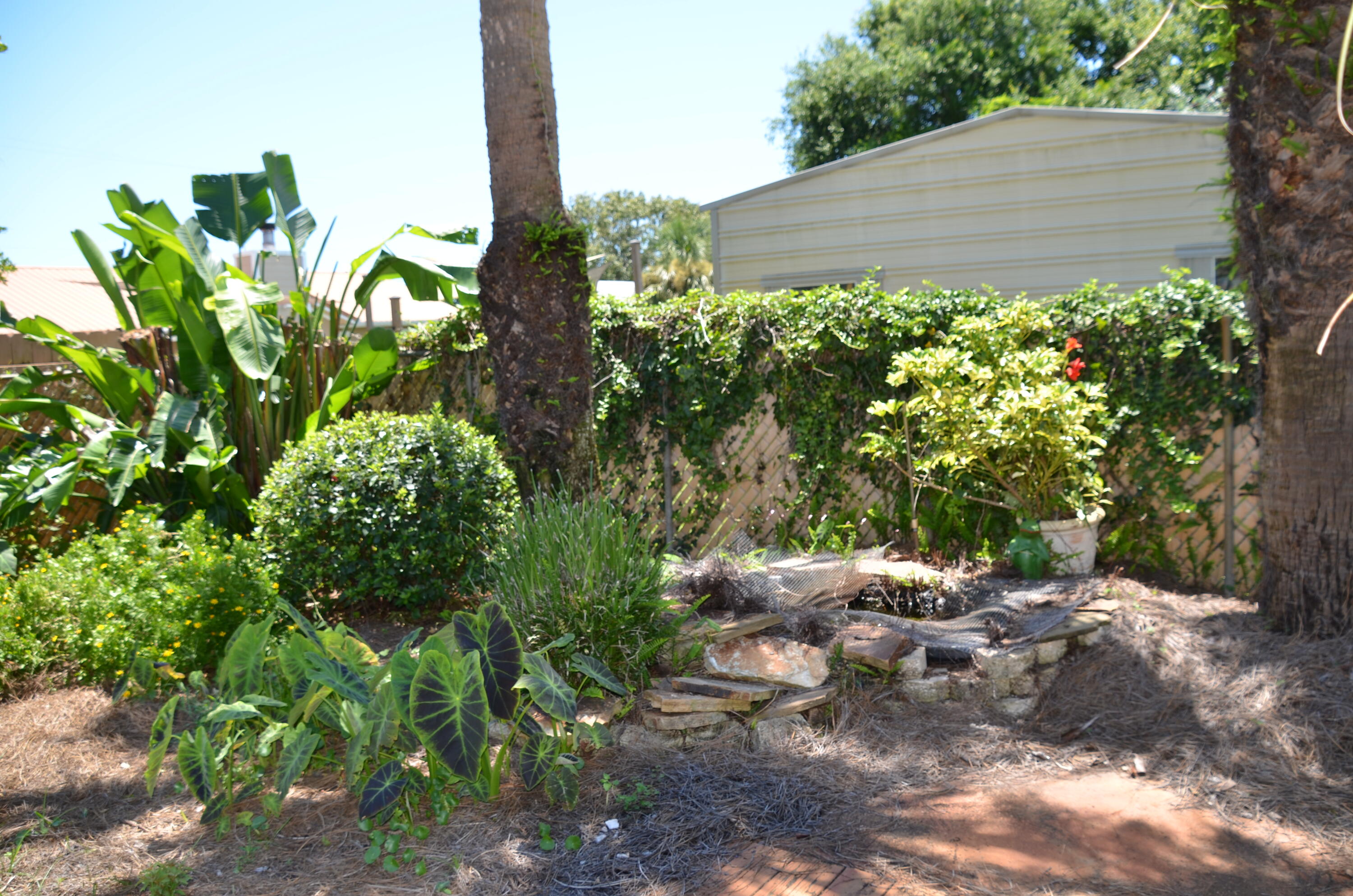 SPRING LAKE #2 - Residential