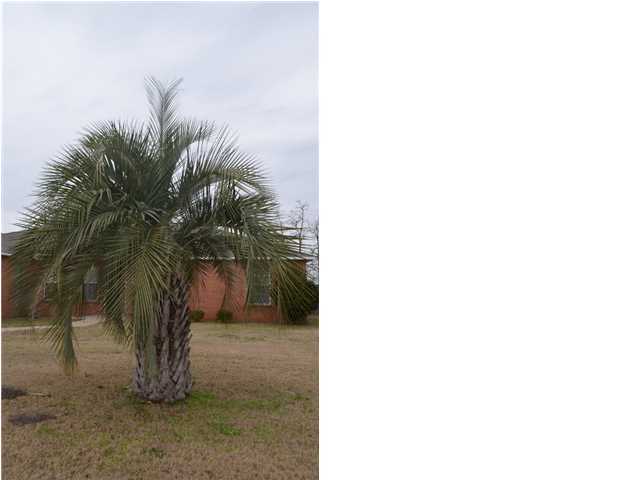 WESTVIEW ESTATES PH 3 - Residential