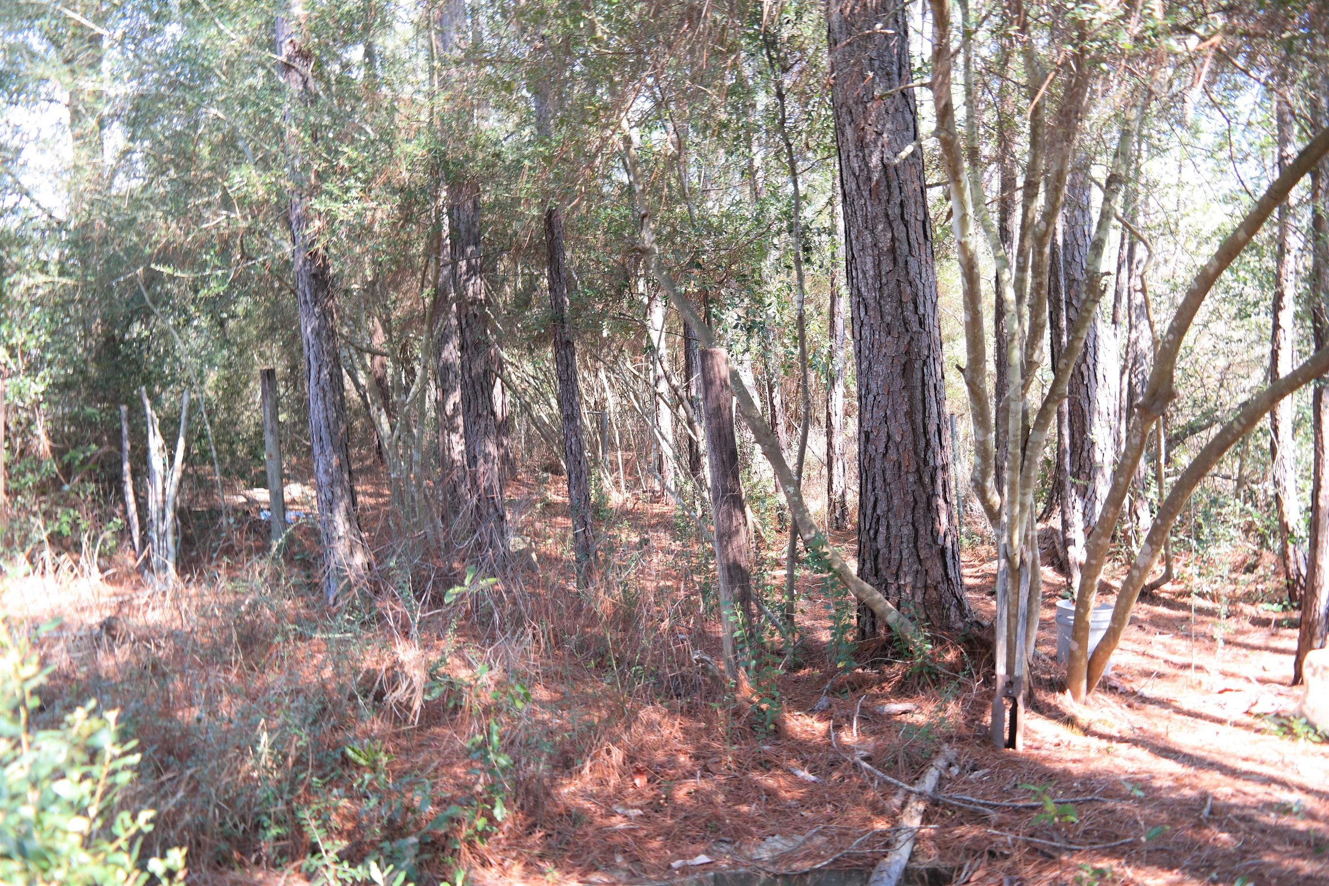 IMPERIAL LAKES 2 - Land