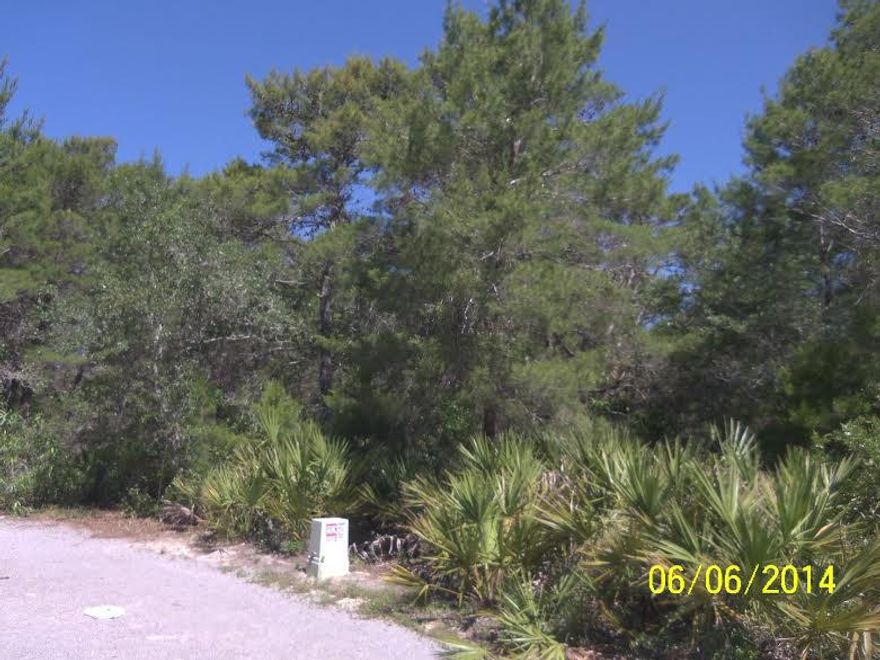 This home site is in the fast growing Eastern Lake Area. Close to Eastern Lake beach access. One of only a few lots available south of 30-A in Seagrove. Property does have covenants and restrictions. The covenants and restrictions are for Dalton Cottages at Seagrove.
