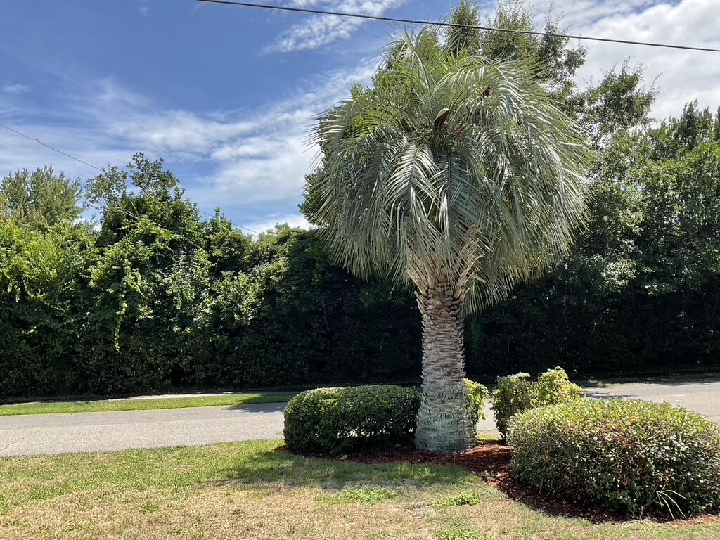 SPRING LAKE #2 - Residential