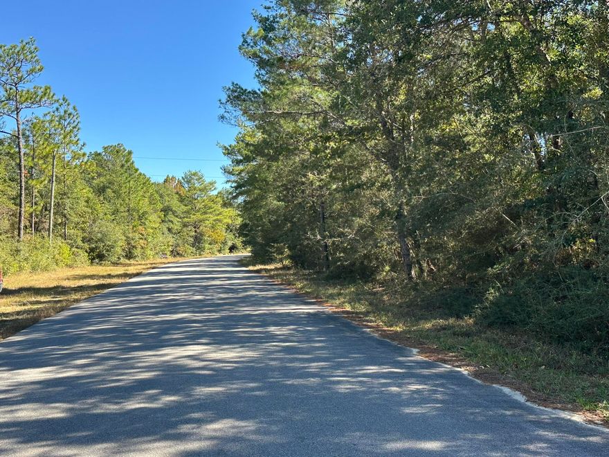 Discover the appeal of the Mount Olive Road area of Crestview--where open land and peaceful surroundings create an inviting setting for your next home site or investment. Located east of Shoal River in Okaloosa County, this parcel offers a true taste of North Crestview living, with convenient access to major routes while still providing a country atmosphere. Whether you're building now or planning for the future, this property places you in one of Crestview's most established and sought-after rural communities. The buyer & agent are responsible for verifying all information relevant to the purchase, including, but not limited to, zoning, utilities, and access, as part of due diligence. Okaloosa County considers this an unrecorded subdivision with 7 total lots.