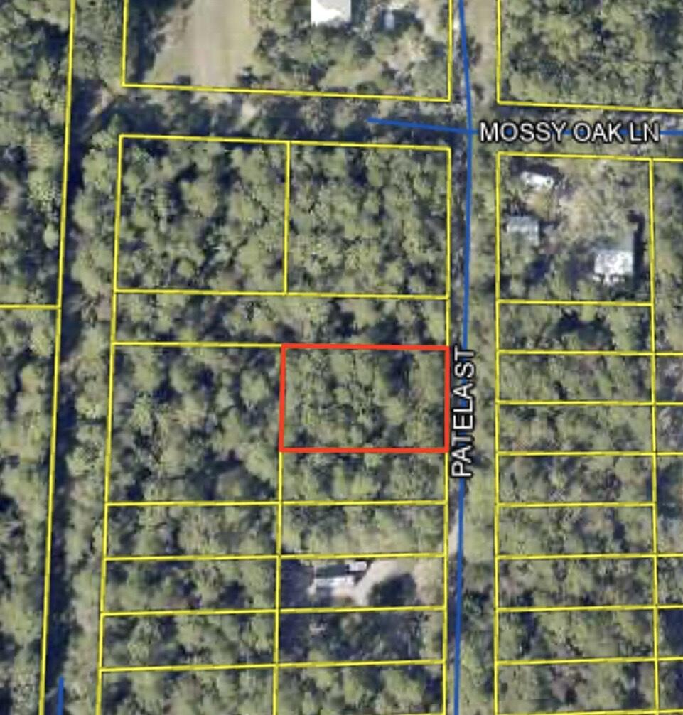 This beautiful .367 acre lot can be split into 2 lots! Minutes away from Choctawatchee Bay, beautiful beaches, dining, shopping, and much more!