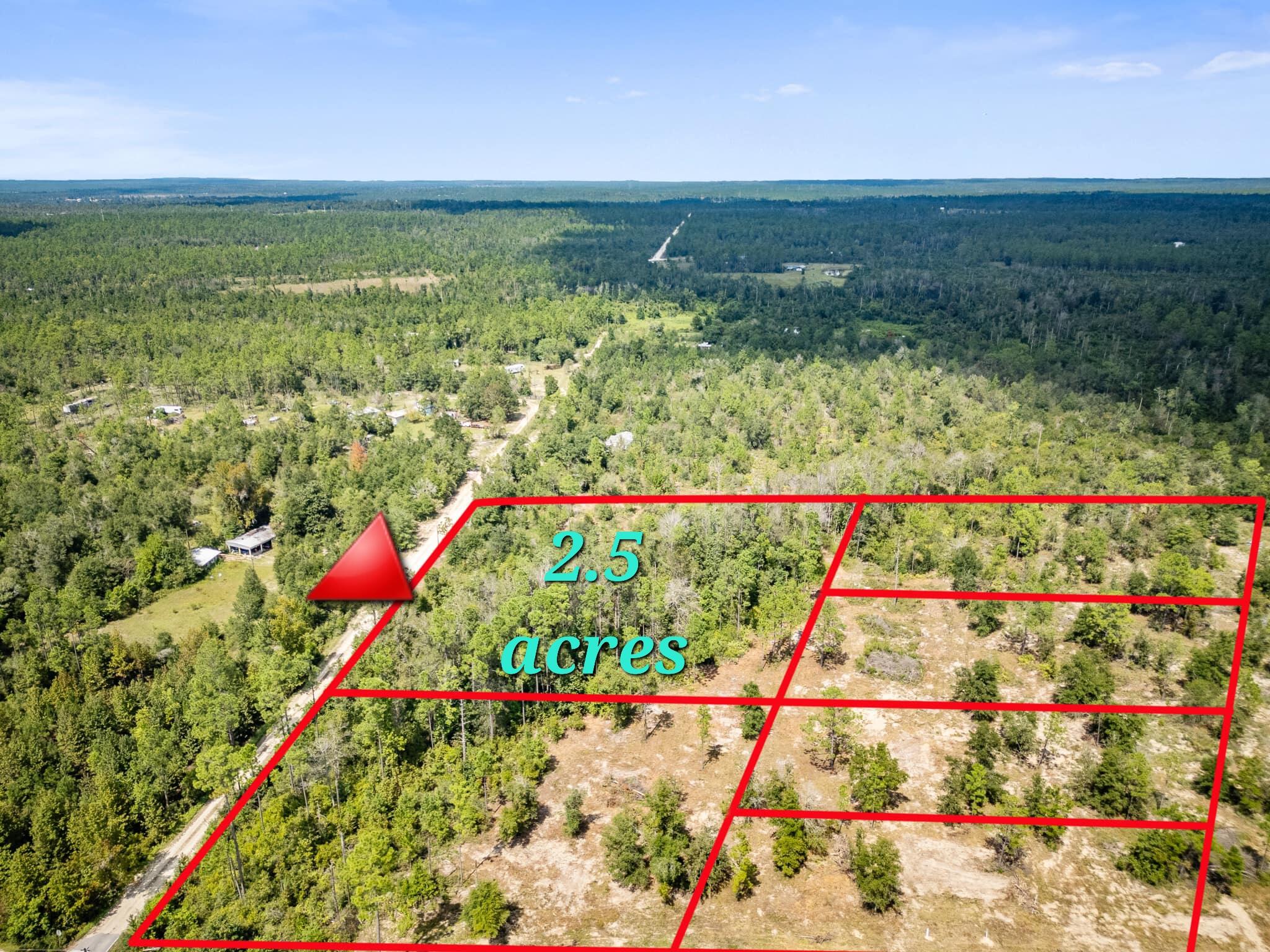 This 2.5-acre lot offers a fantastic opportunity for development. It's high and dry, fully cleared, and located in a quiet area, making it ideal for building. A 30-foot road is being constructed at the back of the lot to improve access. Situated just 50 minutes from Panama City Beach, this property presents a great chance to build your dream home or create a steady rental income in an excellent location.Do not miss this opportunity, let me know if you need more details!