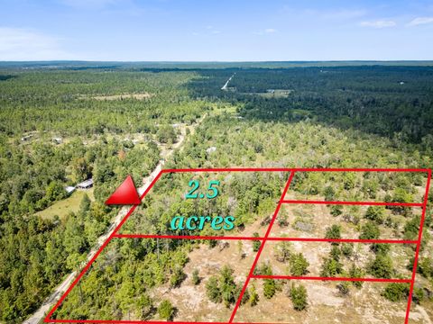Photo of 1462 Lake Lillian Road, Fountain, FL 32438 (MLS # 958872) Photo of 1462 Lake Lillian Road, Fountain, FL 32438 (MLS # 958872)