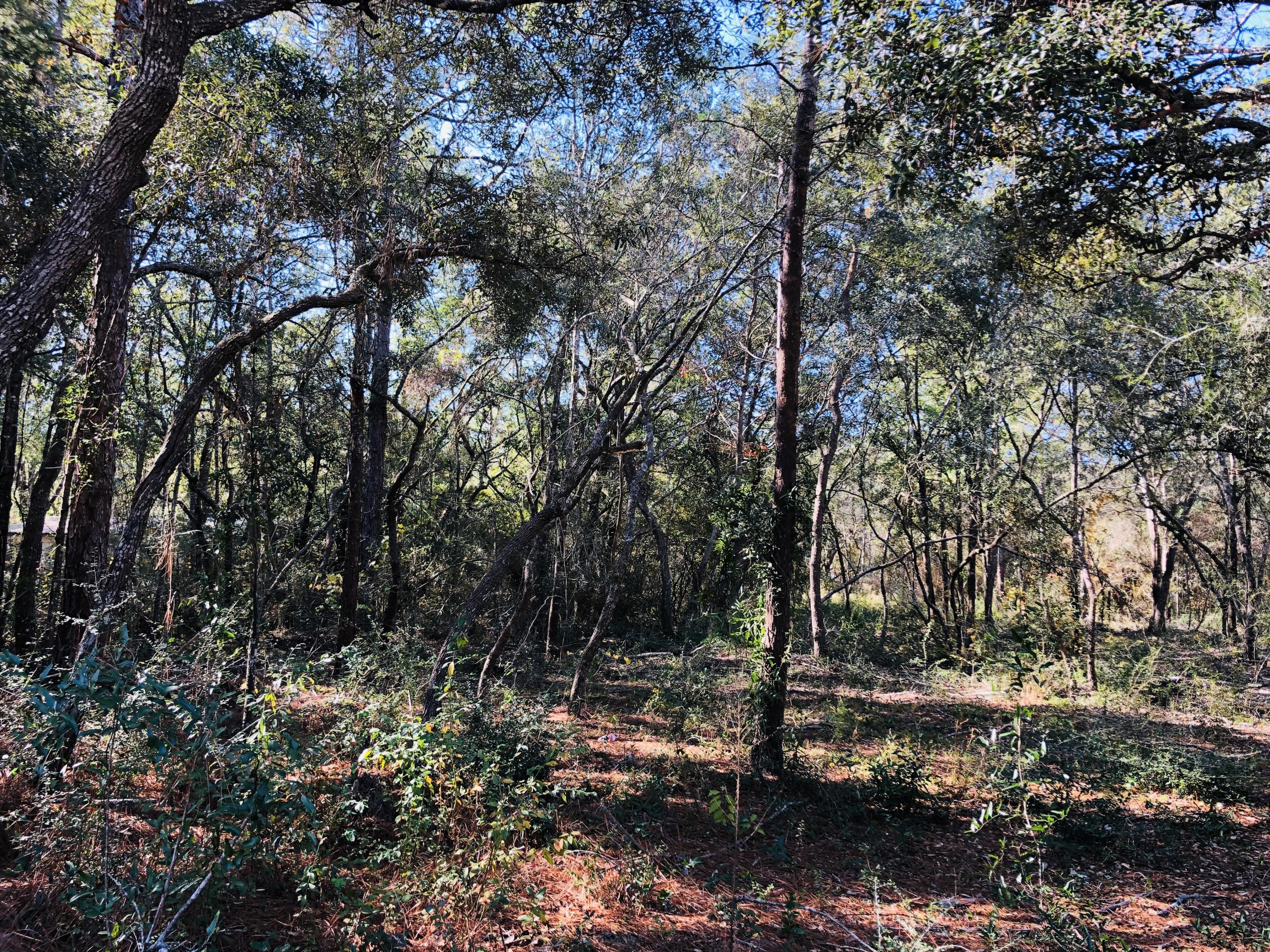 K&L properties unrecCharolette Estates - Land