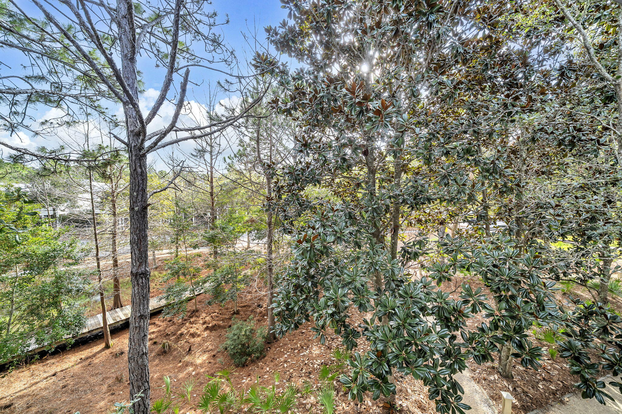 SUMMERSWEET PLACE AT WATERCOLOR - Residential