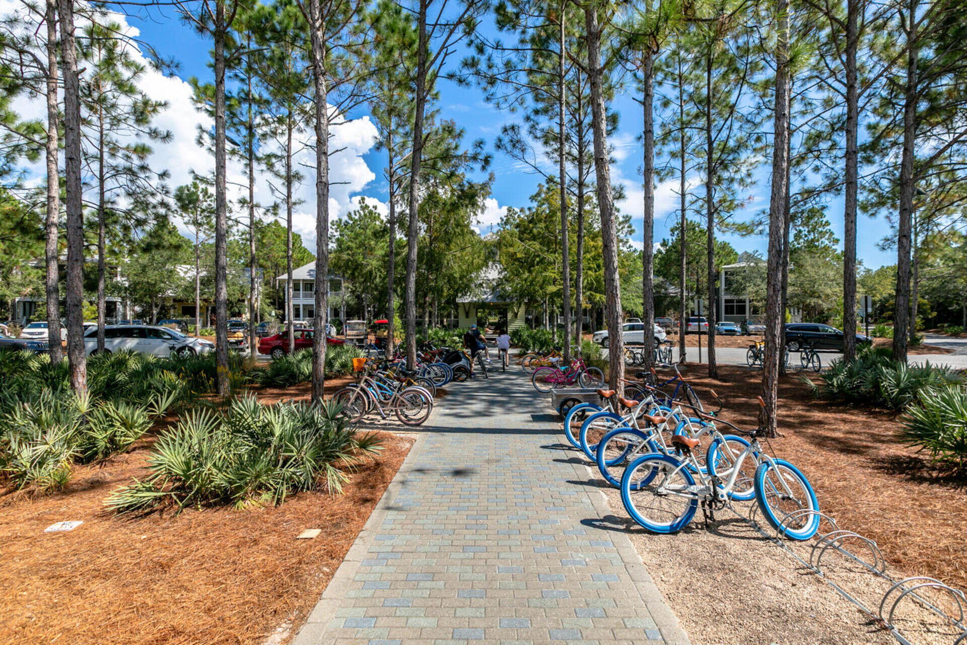 SUMMERSWEET PLACE AT WATERCOLOR - Residential