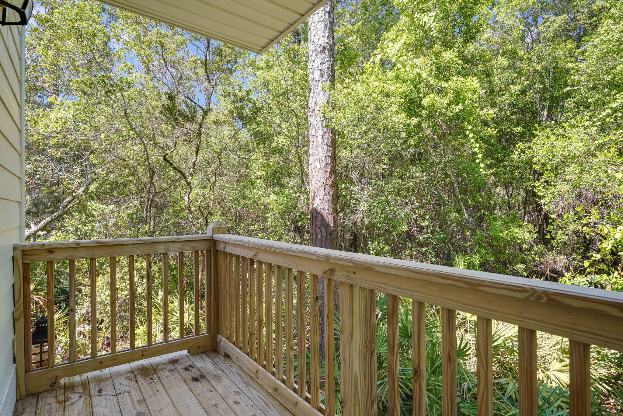 Sandhill Pines - Residential