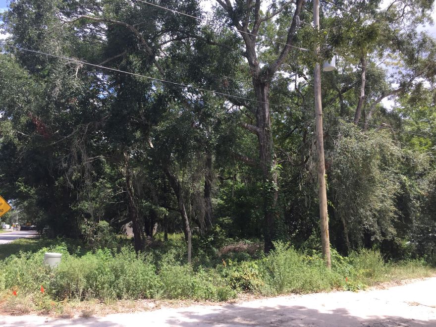 Attn: Builders or individuals wanting to build, this is a beautiful tree shaded corner lot (no HOA!) ready to have a lovely home in an area convenient to Choctawhatchee Bay and the Beaches of 30A!  Close proximity to Sacred Heart Hospital and Grand Boulevard and all the shopping and dining opportunities in the area.  Santa Rosa Beach is a fantastic location between Destin and Panama City Beach!
