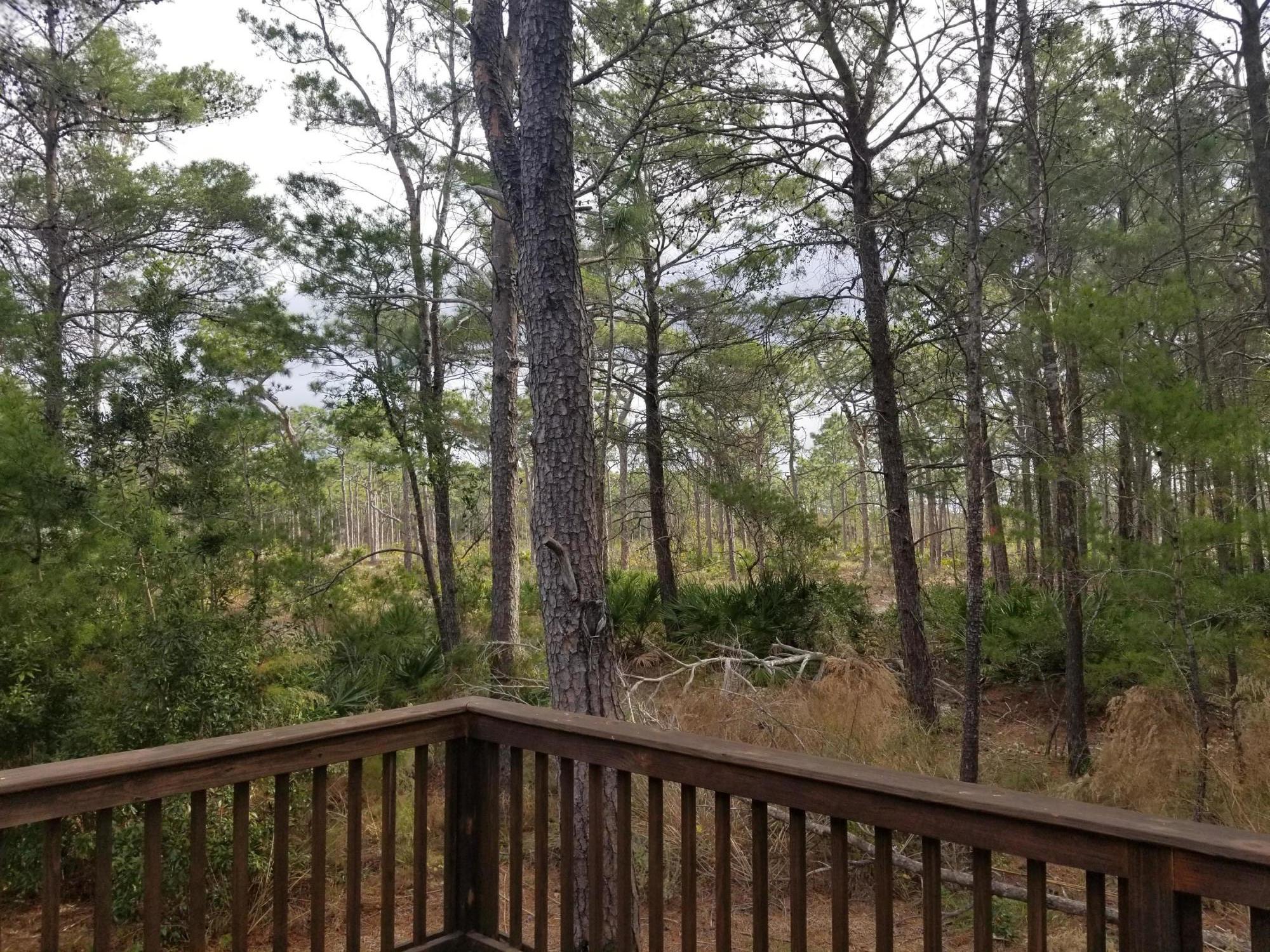 CYPRESS BREEZE PLANTATION - Residential
