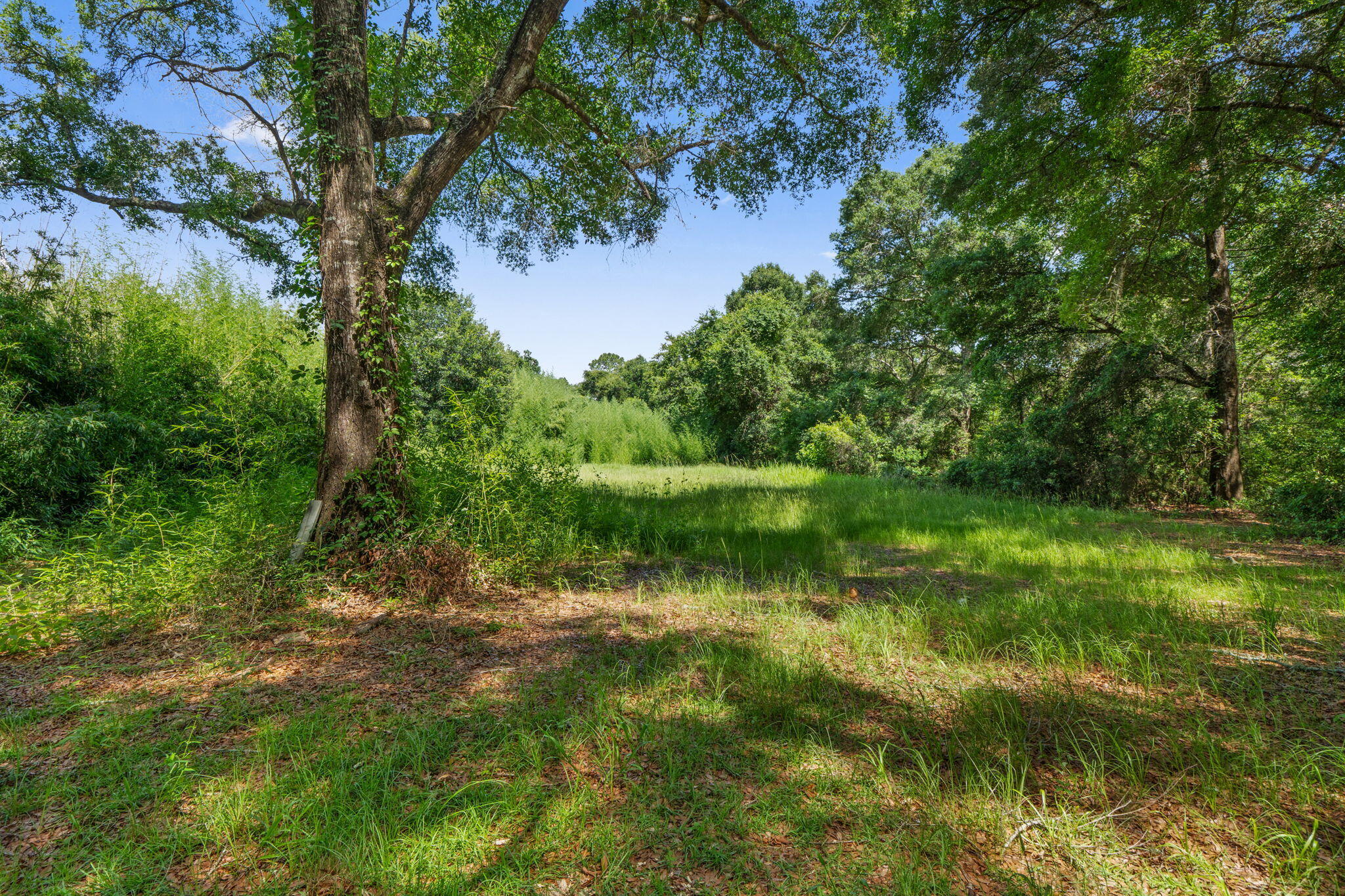 NO RECORDED SUBDIVISION - Land
