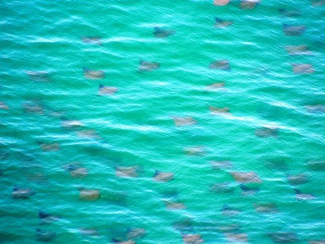 Sterling Breeze - Residential