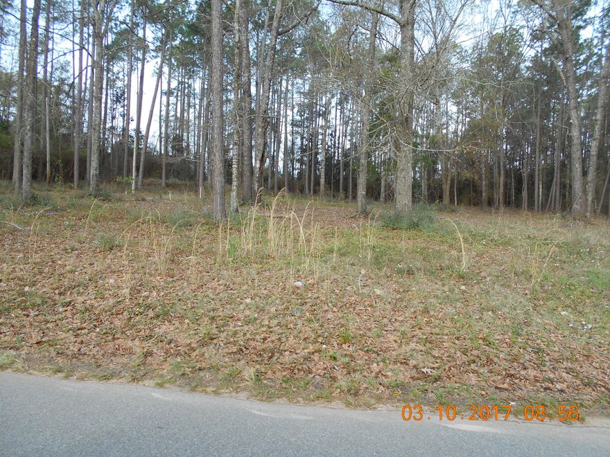 The perfect lot for your home in the heart of Baker~ Cleared, on a paved road~ Water tap & power pole on the property~ There is also a septic tank, seller does not know the condition and does not warrant it~ Seller has current survey~
