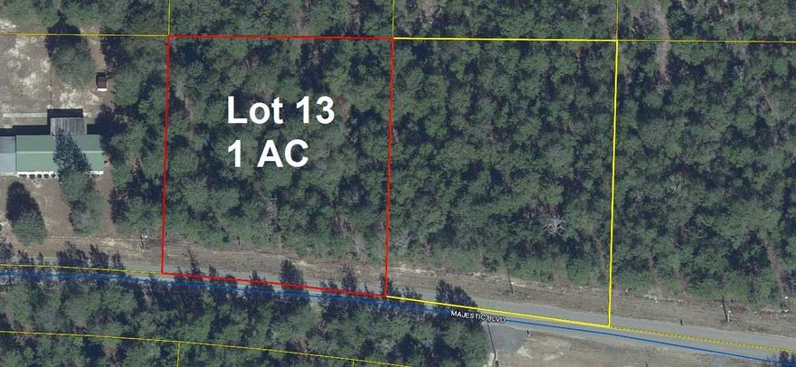 1 acre lot on paved road in growing Mossy Head area. Conveniently located between Defuniak Springs and I-10 in Mossy Head for a quick commute to Defuniak Springs, Crestview, Niceville, Eglin AFB. No utilities currently on property but electric on street and public water is available in this area. Septic tank would be required. Adjoining 1 acre lot 14 is also available (see MLS #851795).