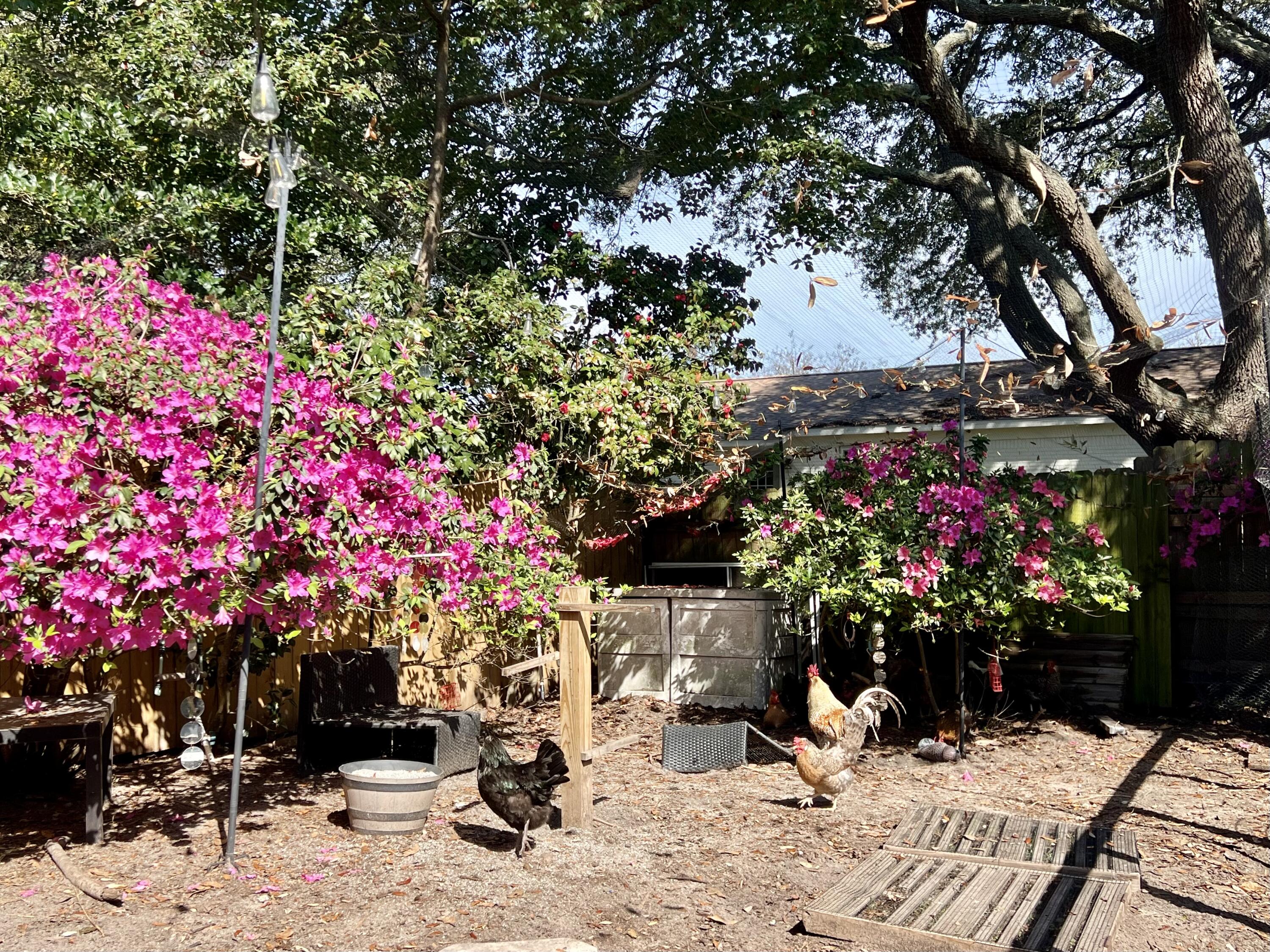 SEA HILLS 1ST - Residential