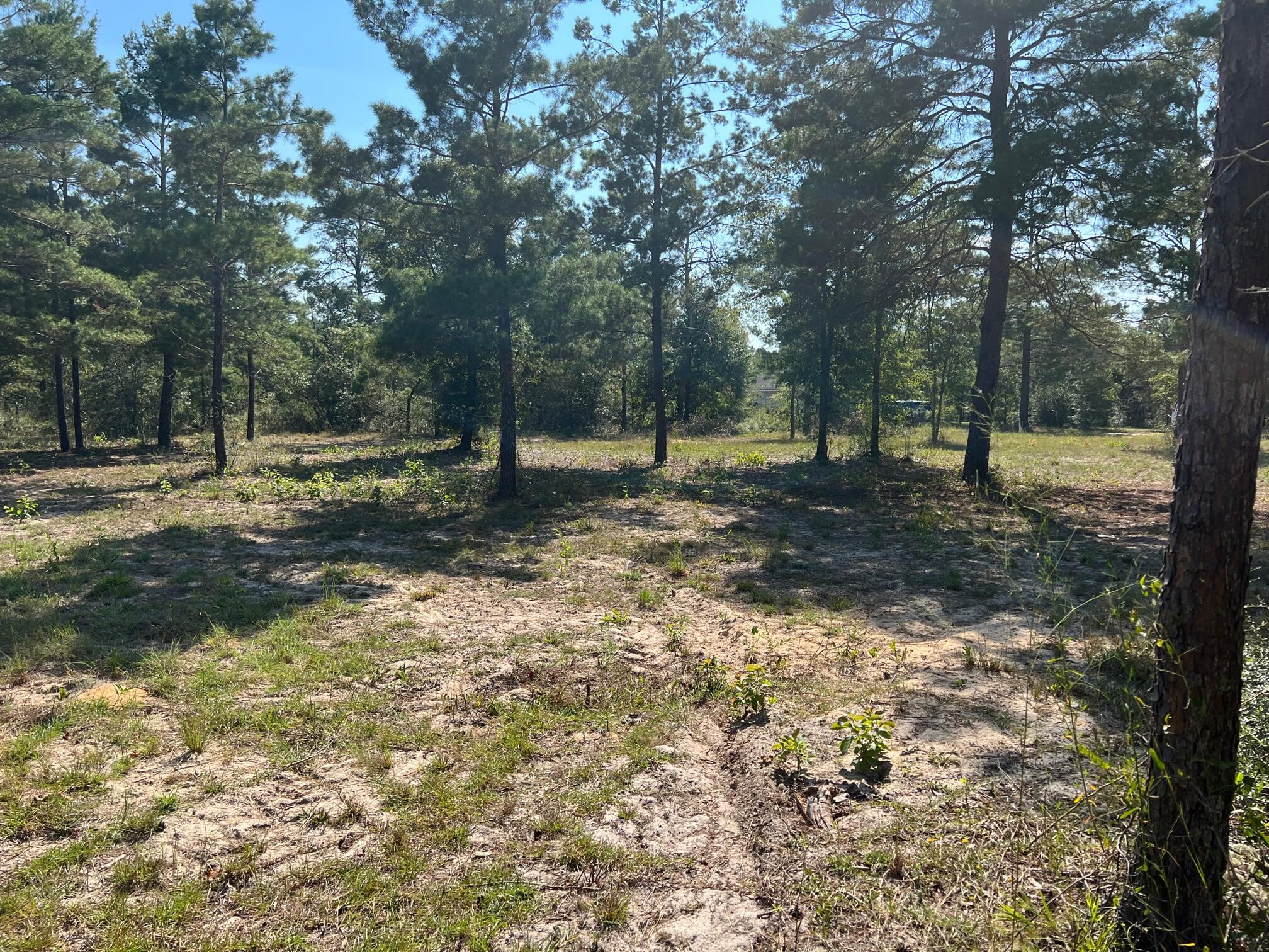 Oakwood Lake Est Unit 7 - Land