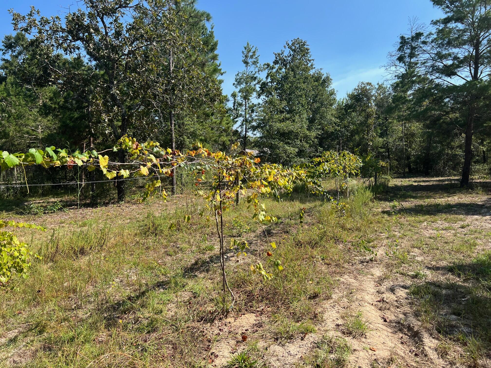 Oakwood Lake Est Unit 7 - Land