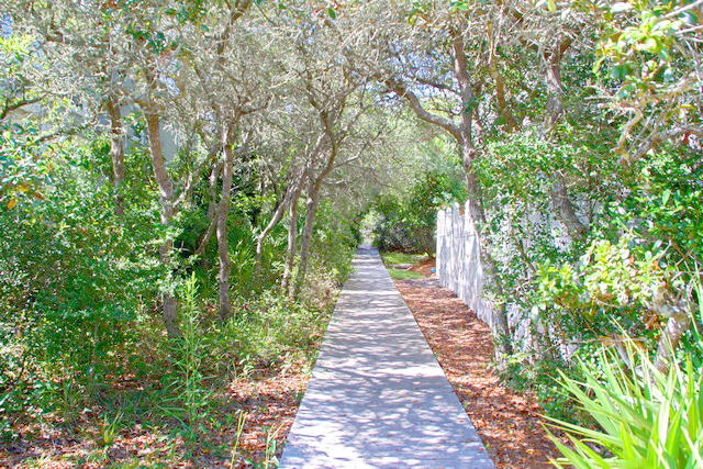 CAMP CREEK LAKE - Residential