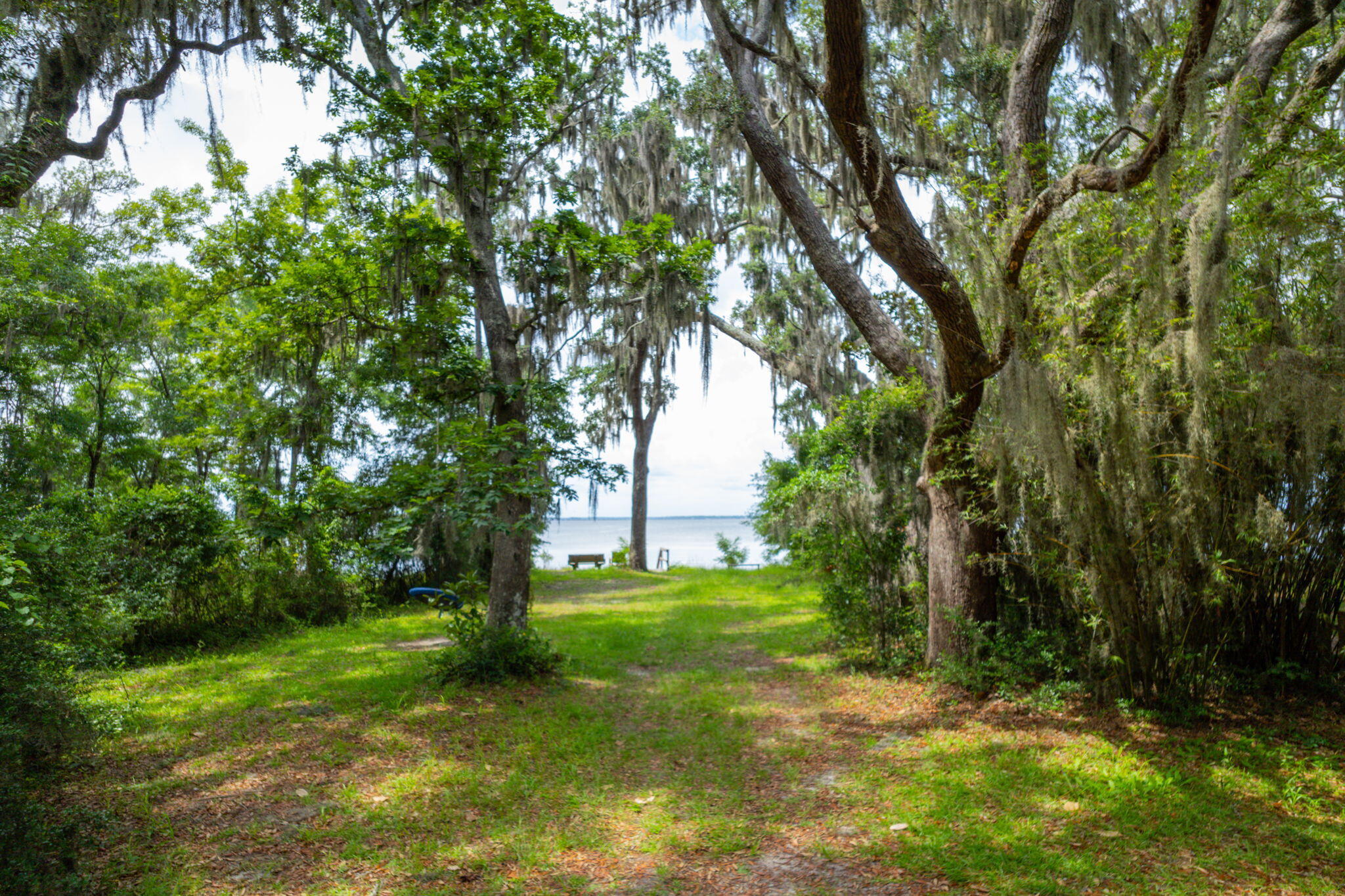 DAUGHETTES AMENDED - Residential