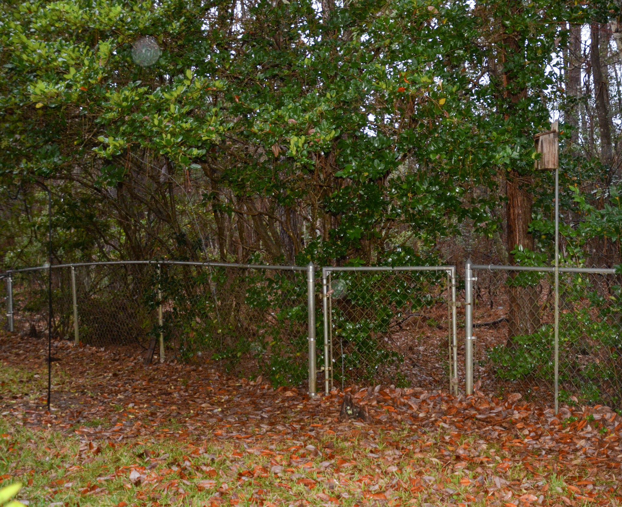 WILLOW BEND PH 2 - Residential