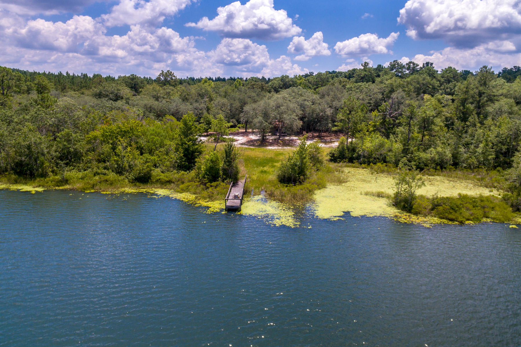 Andrews Lake Fishcamp - Land