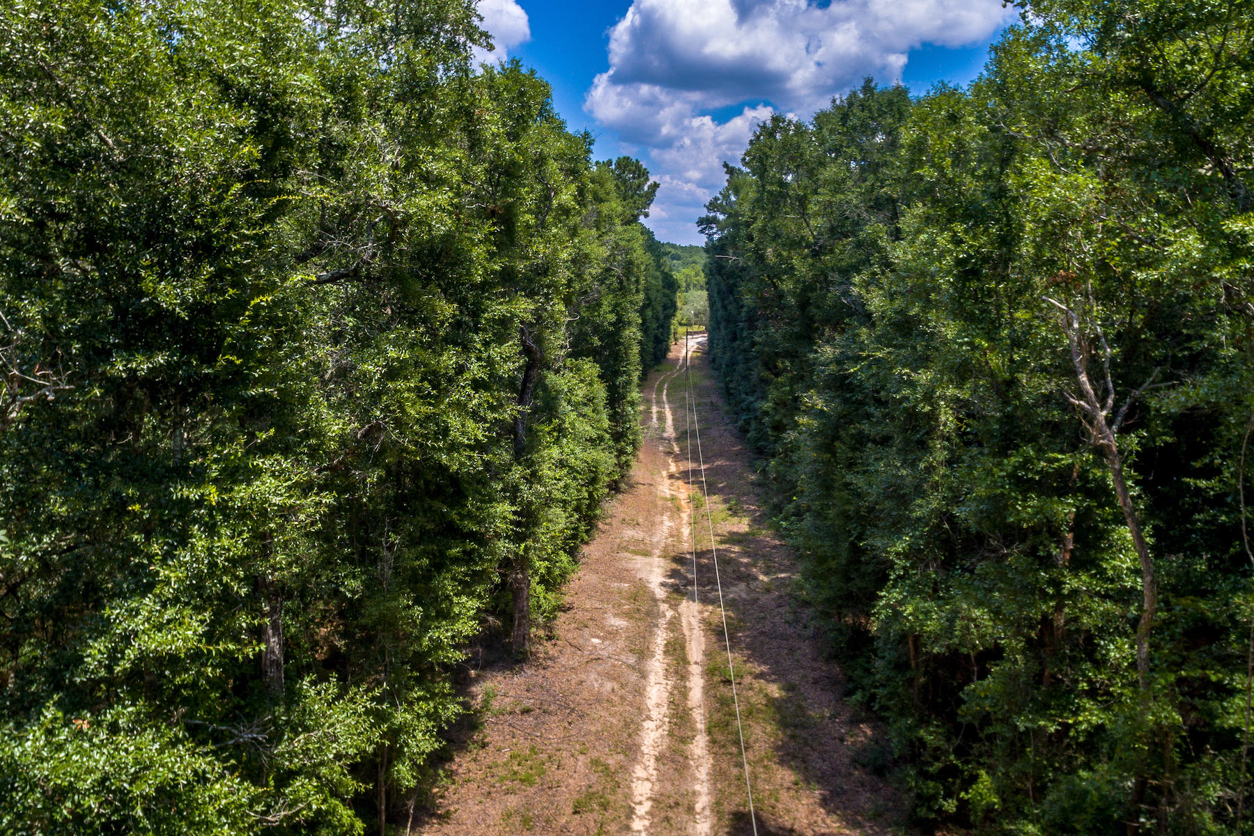 Andrews Lake Fishcamp - Land