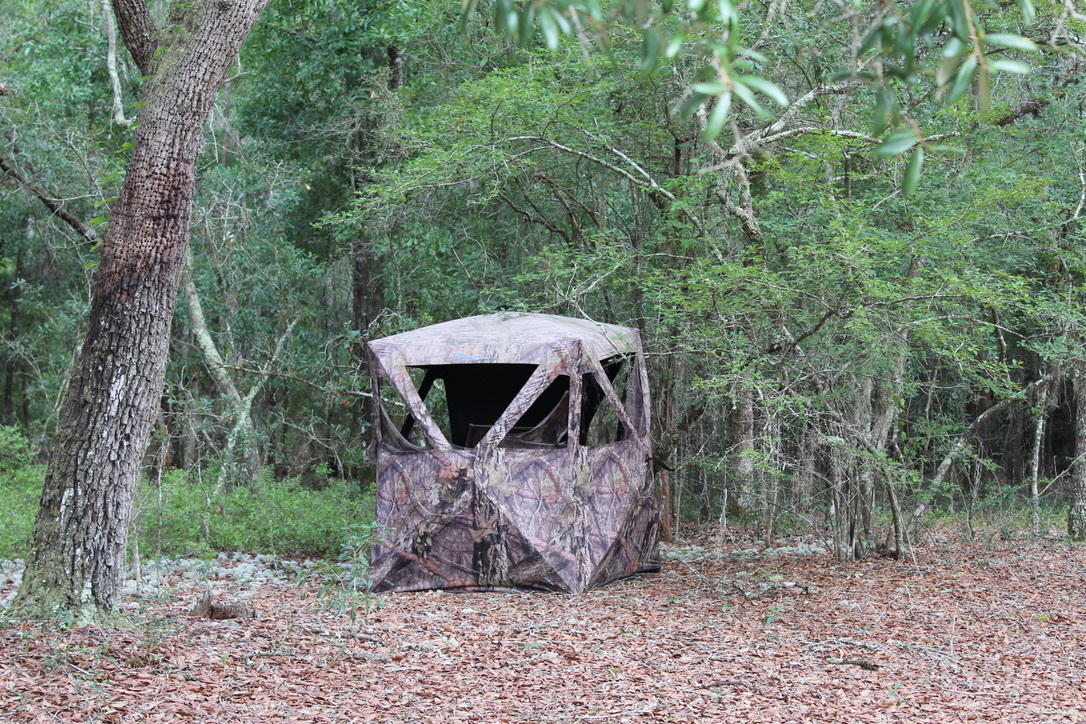 Andrews Lake Fishcamp - Land