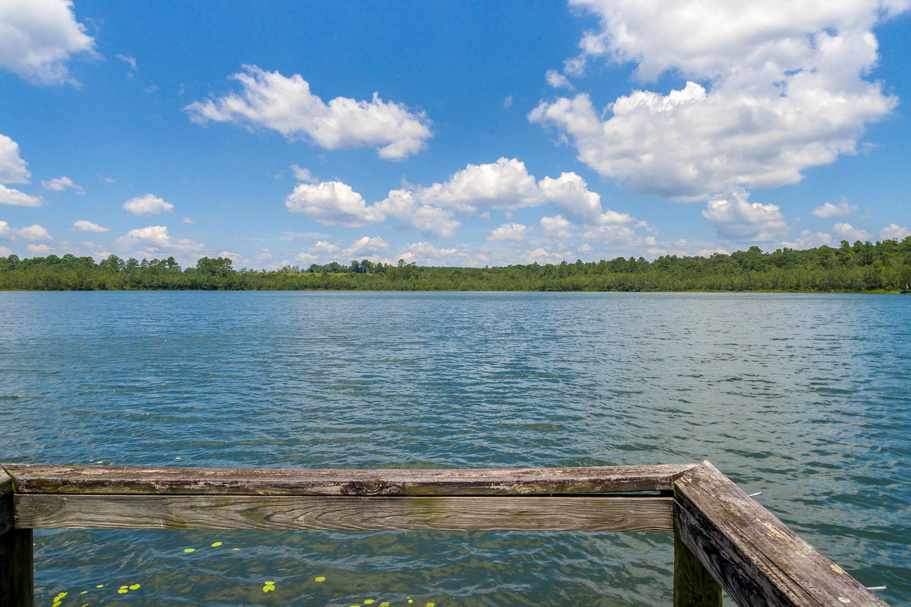 Andrews Lake Fishcamp - Land