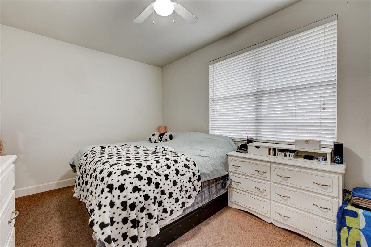 PALMS OF FREEPORT - Residential