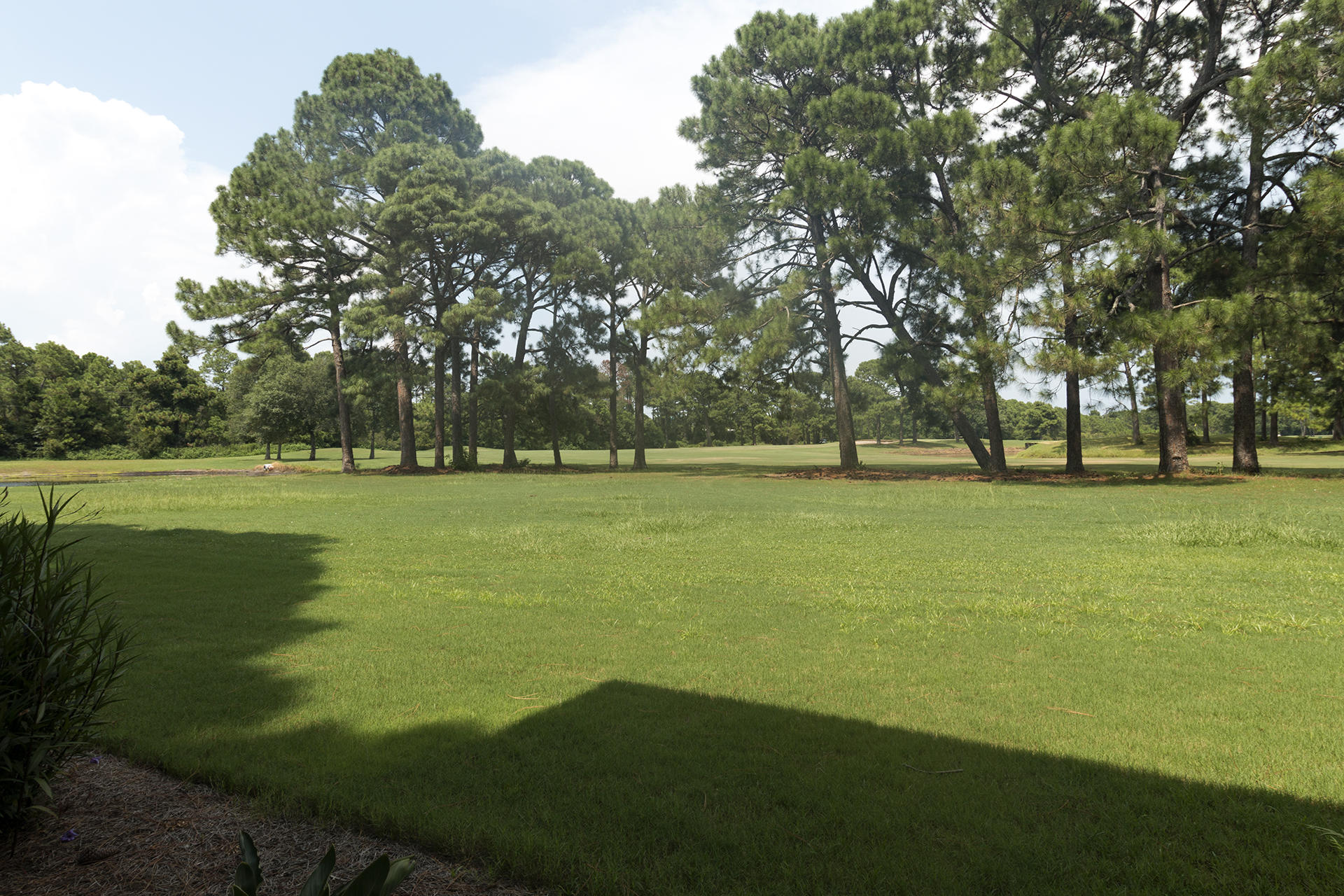 SEASCAPE CONDO FAIRWAYS AT - Residential