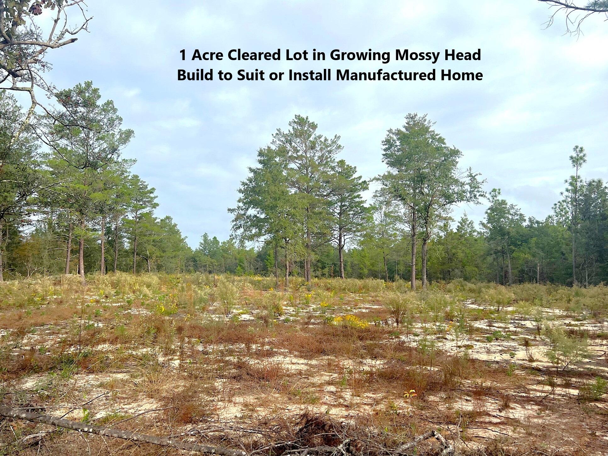 1 acre cleared lot in fast growing Mossy Head area of Deufuniak Springs. Located apx. 10 minutes from downtown Defuniak Springs; 3.5 mi. from Blackstone Golf Course and 4.5 mi. to I-10 in Mossy Head for a quick commute to Crestview, Eglin AFB, Niceville and Ft. Walton Beach Airport. Lot has been cleared and ready to build or have a manufactured home set up. No utilities currently on the property. Power runs along Round Table Rd. Septic tank and well would be required. Survey has been completed and corners are clearly marked with flagged stakes.