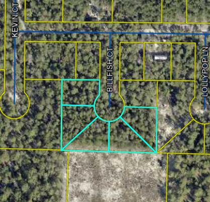 5 lots in the growing Mossy Head area! Build on all 5 or combine and have nearly 1.5 acres to yourself! Fantastic location on a cul-de-sac. Well and Septic required. Electric available nearby.