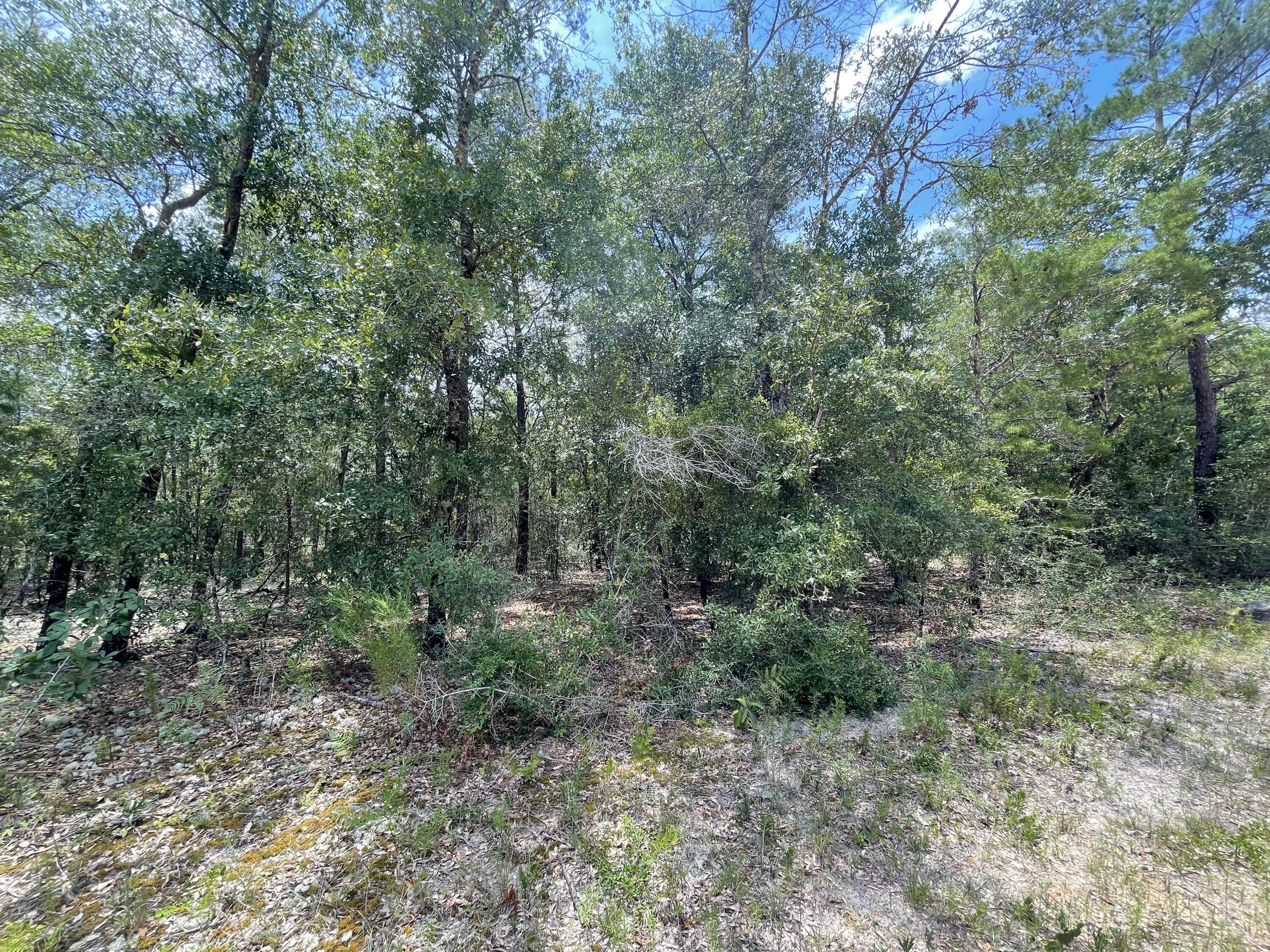 OAKWOOD HILLS UNIT 1 - Land