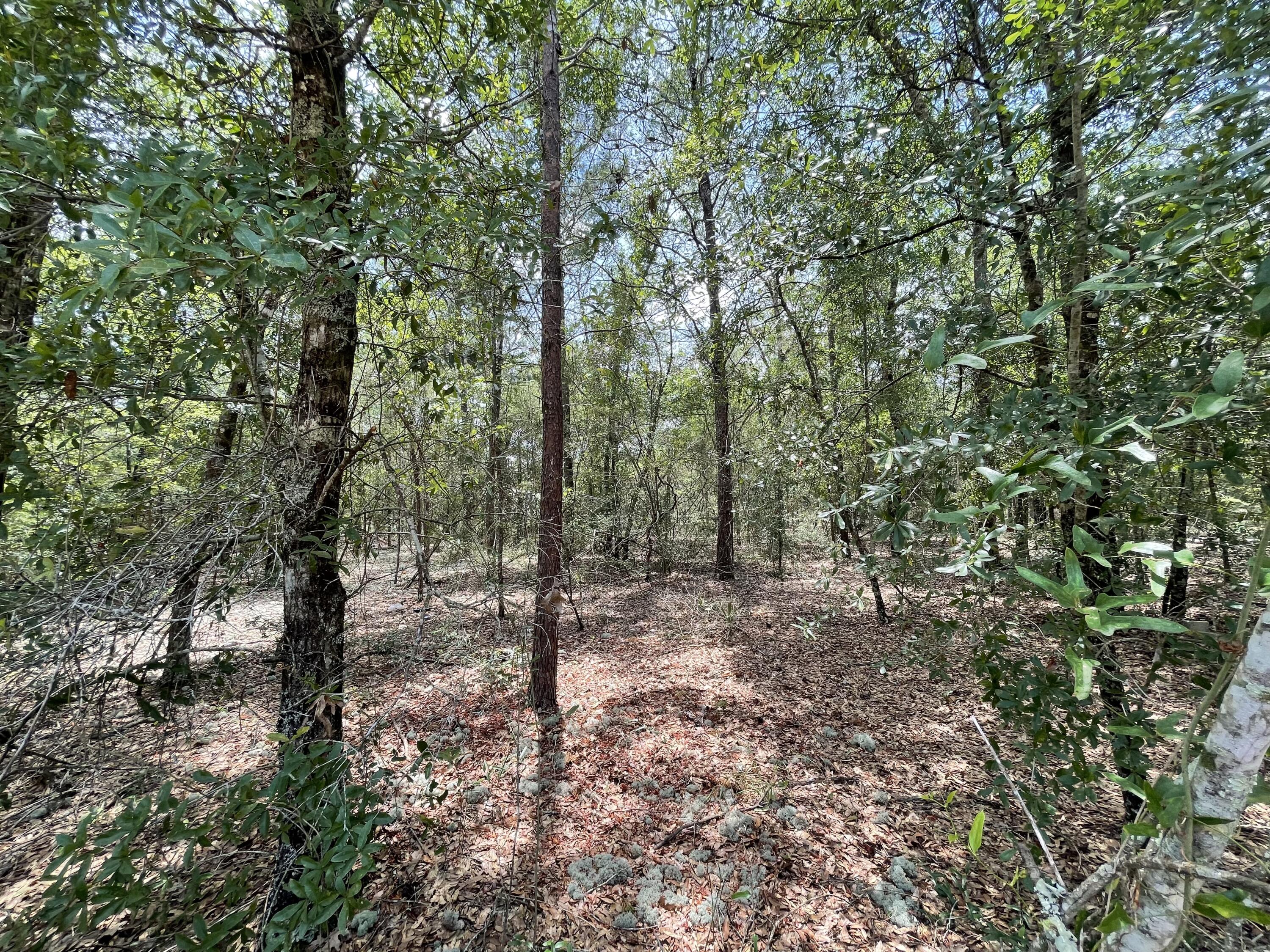 OAKWOOD HILLS UNIT 1 - Land