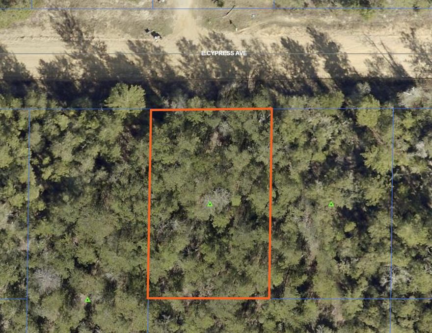 Nice wooded, level lot on a county maintained road in the Mossy Head area. It is approximately 80 ft wide & 125 ft deep (estimates only). Zoned rural low density & located in flood zone X according to the County GIS map. Making it a great location to build a home or setup a manufactured home. Power is available along the street & public water is available in the area. Tap fee has not been paid and will need to be paid through Mossy Head Water Works. There is no public sewer available. Therefore, a septic system will need to be installed.