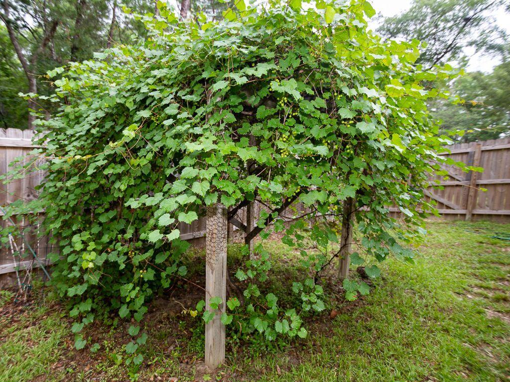 LAGRANGE LANDING - Residential