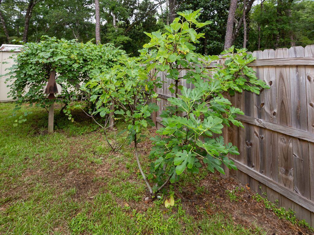 LAGRANGE LANDING - Residential