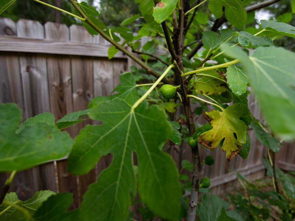 LAGRANGE LANDING - Residential