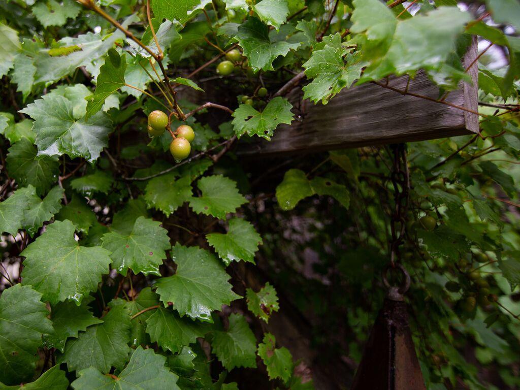 LAGRANGE LANDING - Residential